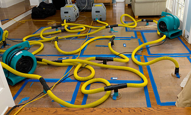 Professional Storm Water Damage Restoration technician working in Glen Allen, VA